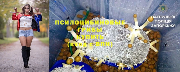 экстази Арсеньев