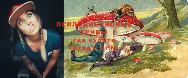 экстази Арсеньев