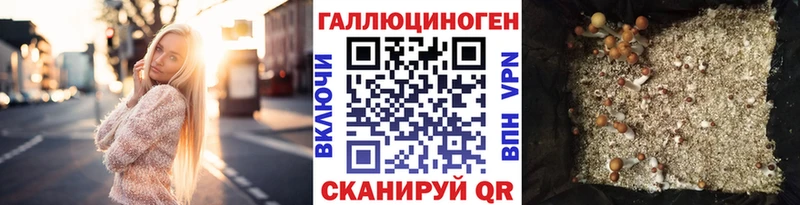 Купить закладки  Мамоново  Псилоцибиновые грибы Cubensis 